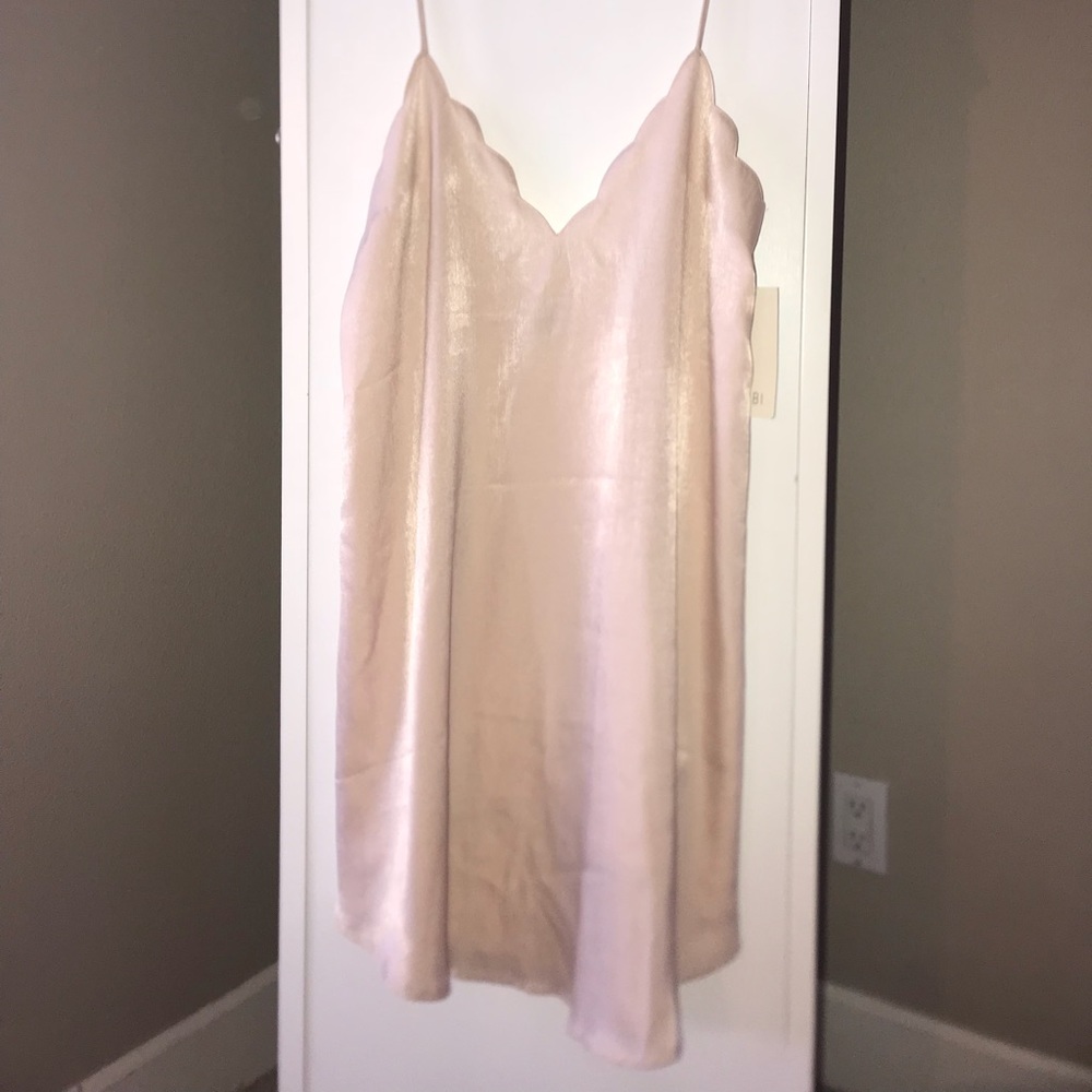Blush Tobi slip dress size small